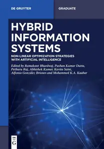 Hybrid Information Systems: Non-Linear Optimization Strategies with Artificial Intelligence (De Gruyter Textbook)