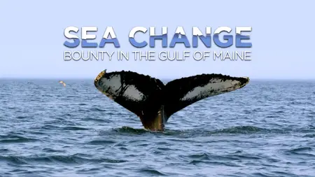 PBS NOVA- Sea Change: Bounty in the Gulf of Maine (2024)