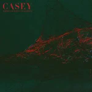 Casey - Where I Go When I Am Sleeping (2018) [Official Digital Download 24-bit/96kHz]