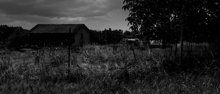 L'errore / The Error (2015)