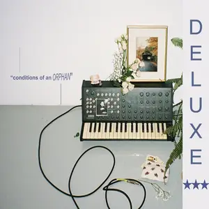 KennyHoopla - conditions of an orphan// deluxe edition (2025) [Official Digital Download 24/48]