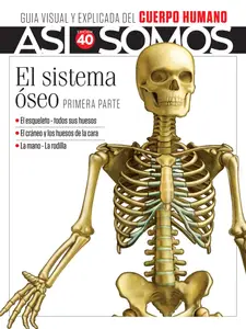 Así Somos El cuerpo humano - Fascículo 7 2024