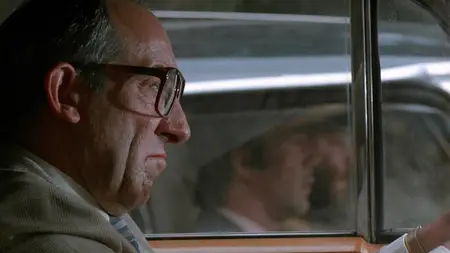 Didi - Der Doppelgänger / Non-Stop Trouble with My Double (1984)