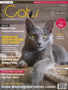 Our Cats - November 2025