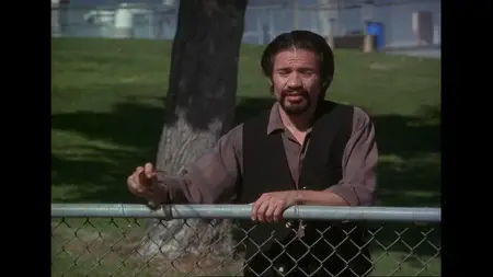 Widow's Kiss (1996)