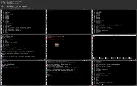 Learn everything about Linux! Complete and updated v2025