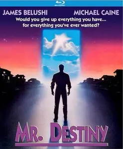 Mr. Destiny (1990)