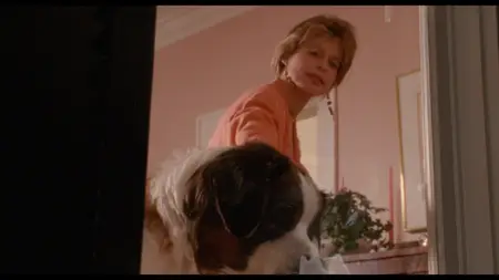 Mr. Destiny (1990)