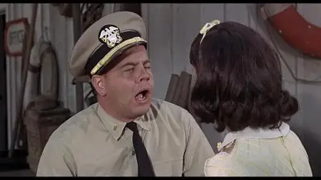 McHale's Navy (1964)