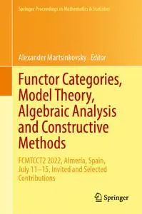 Functor Categories, Model Theory, Algebraic Analysis and Constructive Methods