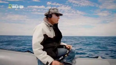 National Geographic Wild - Animal Superpowers - Extreme Hunters (2012)