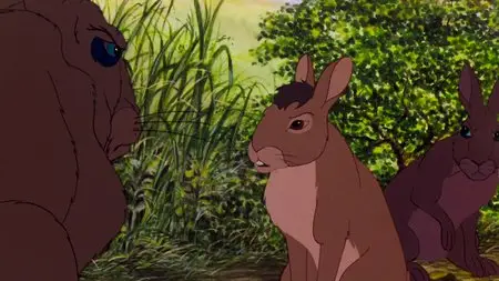 Watership Down (1978)