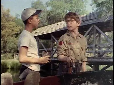 Follow Me, Boys! (1966)