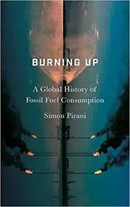 Burning Up: A Global History of Fossil Fuel Consumption