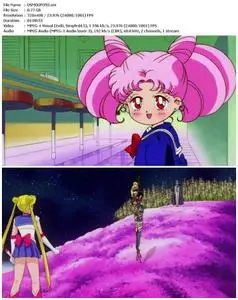 Sailor Moon R: The Movie: The Promise of the Rose (1993)