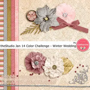 6 Mini Scrap Kits: Winter Wedding