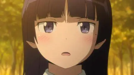 Ore no Imouto ga Konna ni Kawaii Wake ga Nai (2010)