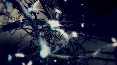 CuriosityStream - A.I. and the Destiny of Mankind (2017)