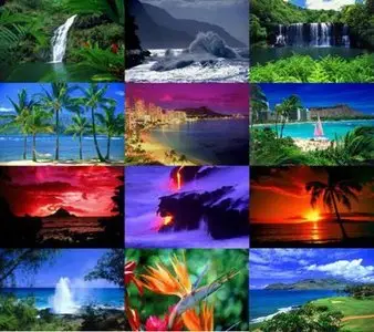 Best of Vincent Khoury Tylor