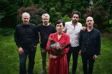 Collections Of Colonies Of Bees - Hawaii (2018) {Polyvinyl Record Company}