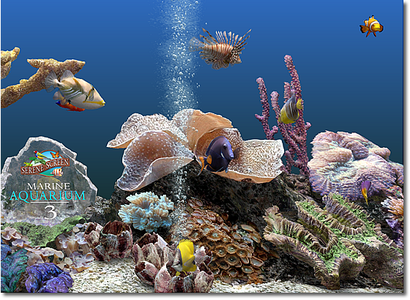 SereneScreen Marine Aquarium 3 v3.2.6025 / v3.2.852 (Windows/MacOSX)