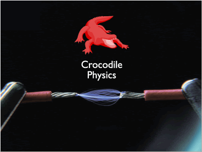 Crocodile Physics605
