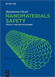 Nanomaterials Safety: Toxicity and Health Hazards