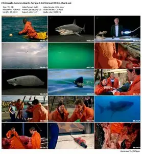 Channel 4 – Inside Natures Giants (Series 2) 