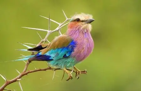 World In Photo 244