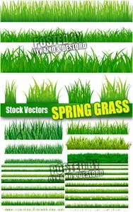 Spring grass - Stock Vectors