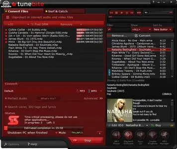 Tunebite Platnium  6.0.28922.220