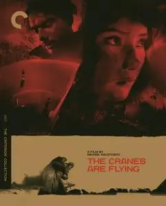 Letyat zhuravli / The Cranes Are Flying (1957) [The Criterion Collection]