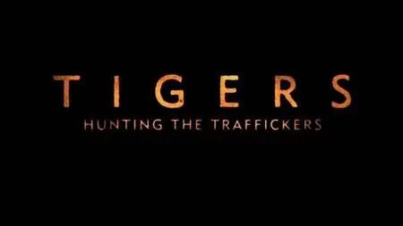 BBC Natural World - Tigers: Hunting the Traffickers (2020)