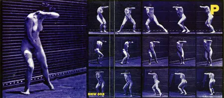 Damo Suzuki Band - P.R.O.M.I.S.E. (1998) 7CD Box Set [Re-Up]