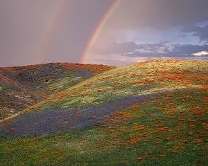 Super Widescreen Nature HQ Wallpapers Collection episode(21)
