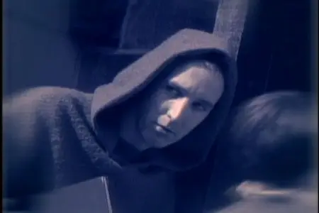 Gold: Suzanne Vega. The Videos (2007)
