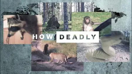 ABC - How Deadly World (2021)