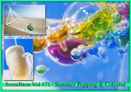 DataCraft Sozaijiten Vol 171 - Summer Popping & Colorful