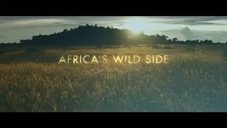 NG. - Africa's Wild Side (2018)