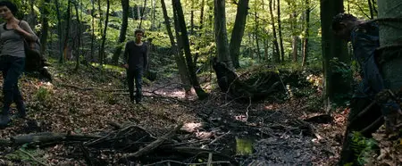 Open Grave (2013)