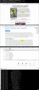 Learn Ethical Hacking By Hacking Real Websites Legally 2