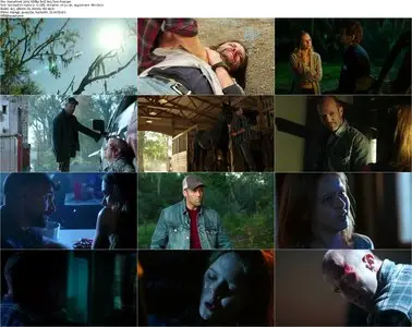 Homefront (2013)