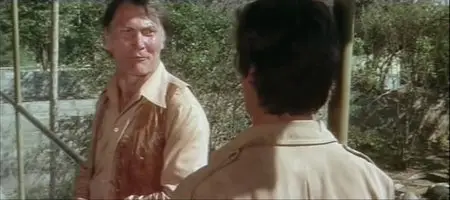 Africa Express (1976)