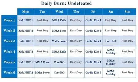 Daily Burn - Undefeated (2017)