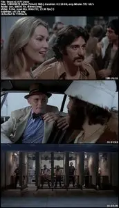 Serpico (1973)