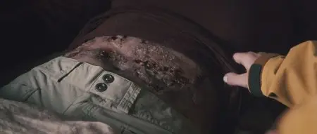 The Thaw (2009)