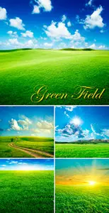 Stock Photo - Green Field