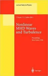 Nonlinear MHD Waves and Turbulence