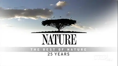 PBS HD - Nature The Best Of Nature 25 Years ( 1080i )