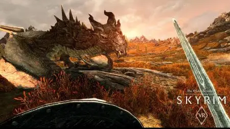 The Elder Scrolls V: Skyrim® VR (2017)